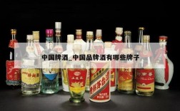 中国牌酒_中国品牌酒有哪些牌子